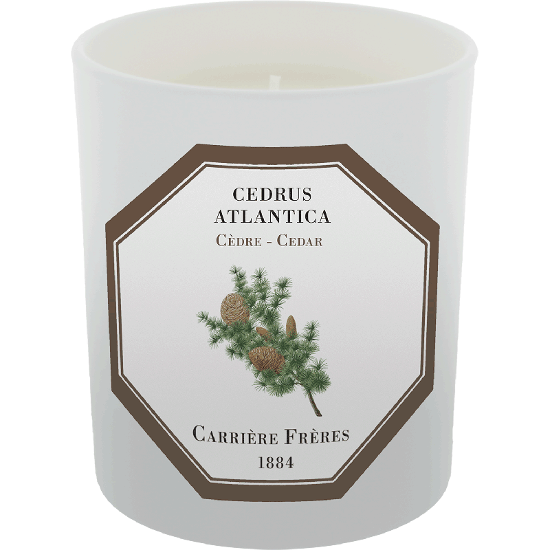 Bougie Cedrus Atlantica (Cèdre)
