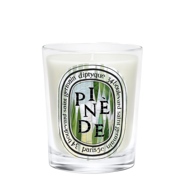 homefragrance Bougie Parfumée Figuier from Diptyque | NOSE Paris
