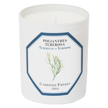 Bougie Parfumée Tubéreuse - Polianthes Tuberosa 