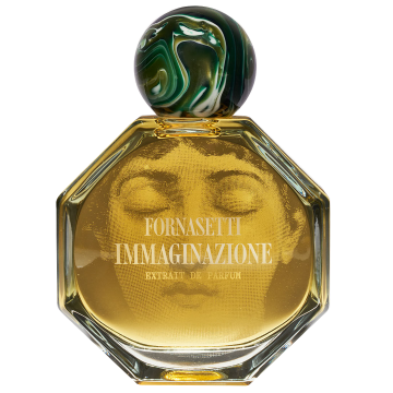 Immaginazione