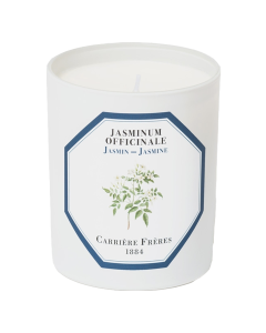 Bougie Parfumée Jasmin - Jasminum Officinale 