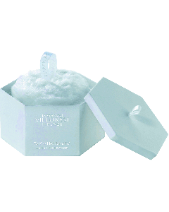 Poudre Teint de Neige