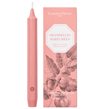 Carrière Frères - Chandelles Parfumées Tomate