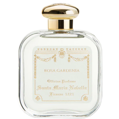 Santa Maria Novella - Rosa Gardenia