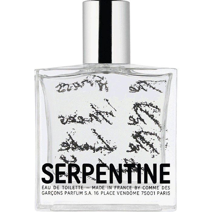 Comme des garcons serpentine online