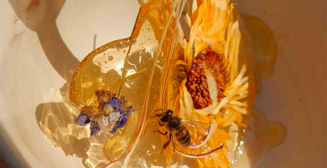 Brand universe Fleurs d'hiver