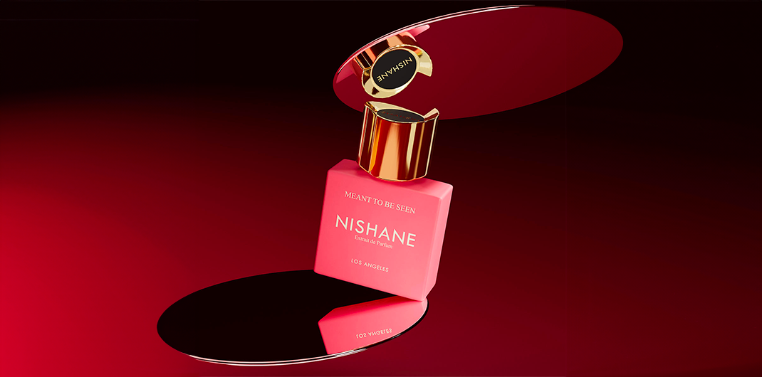 Lancement de Meant to be Seen