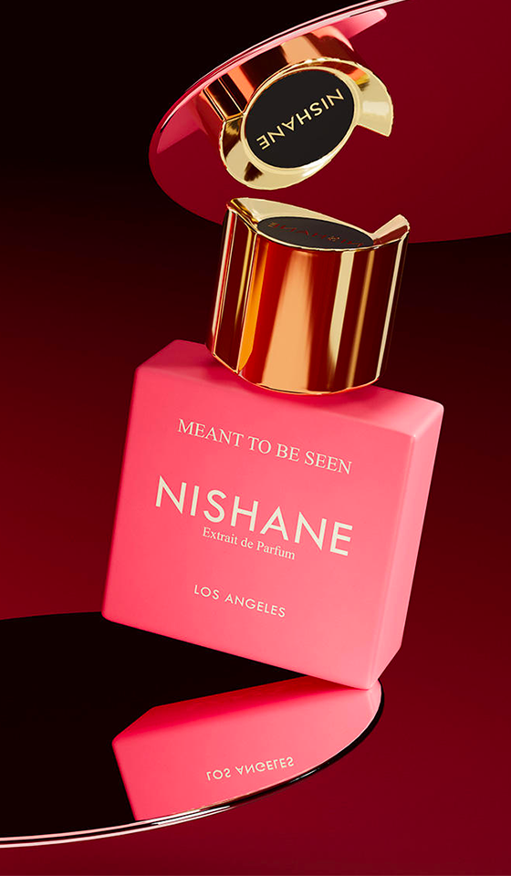 Lancement de Meant to be Seen