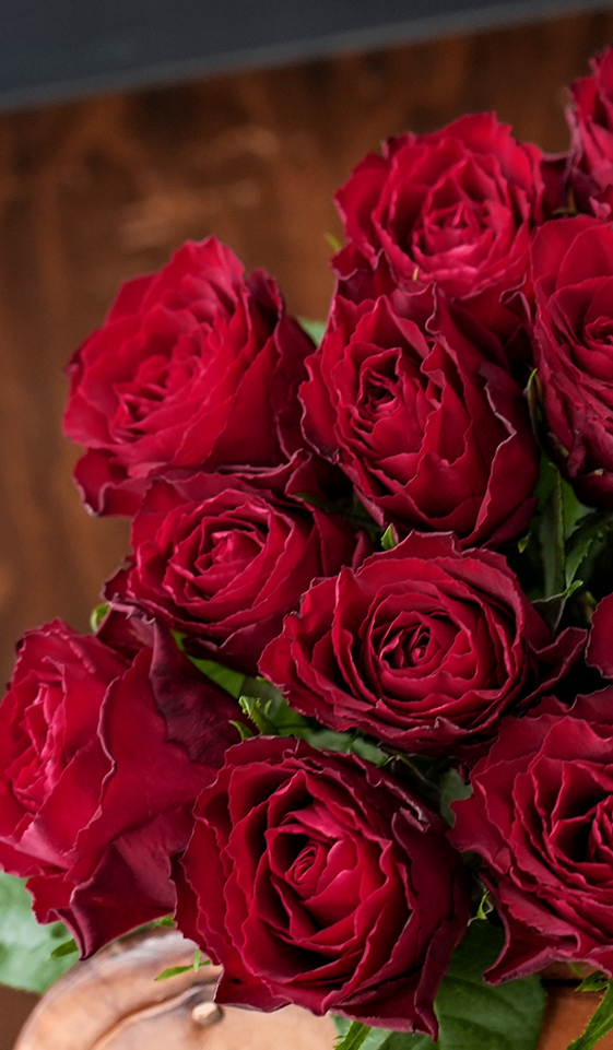Quel parfum offrir à la Saint-Valentin ?