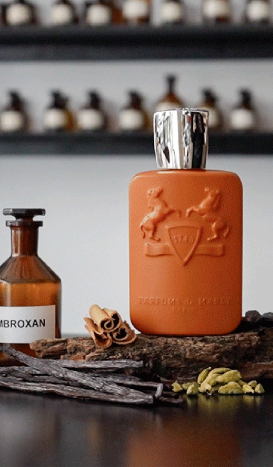 Quel parfum boisé est fait pour vous ?