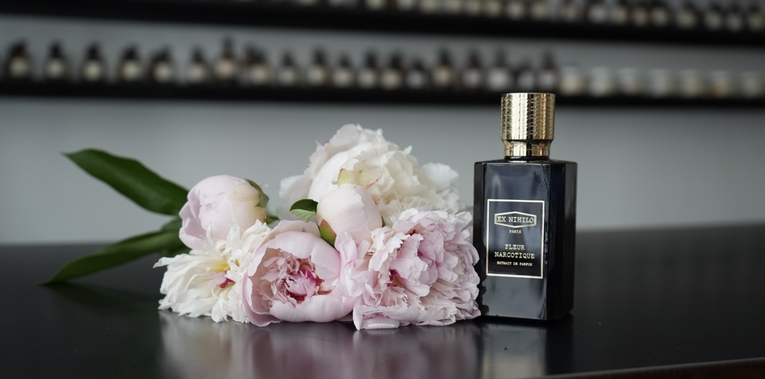 Fleur Narcotique Extrait